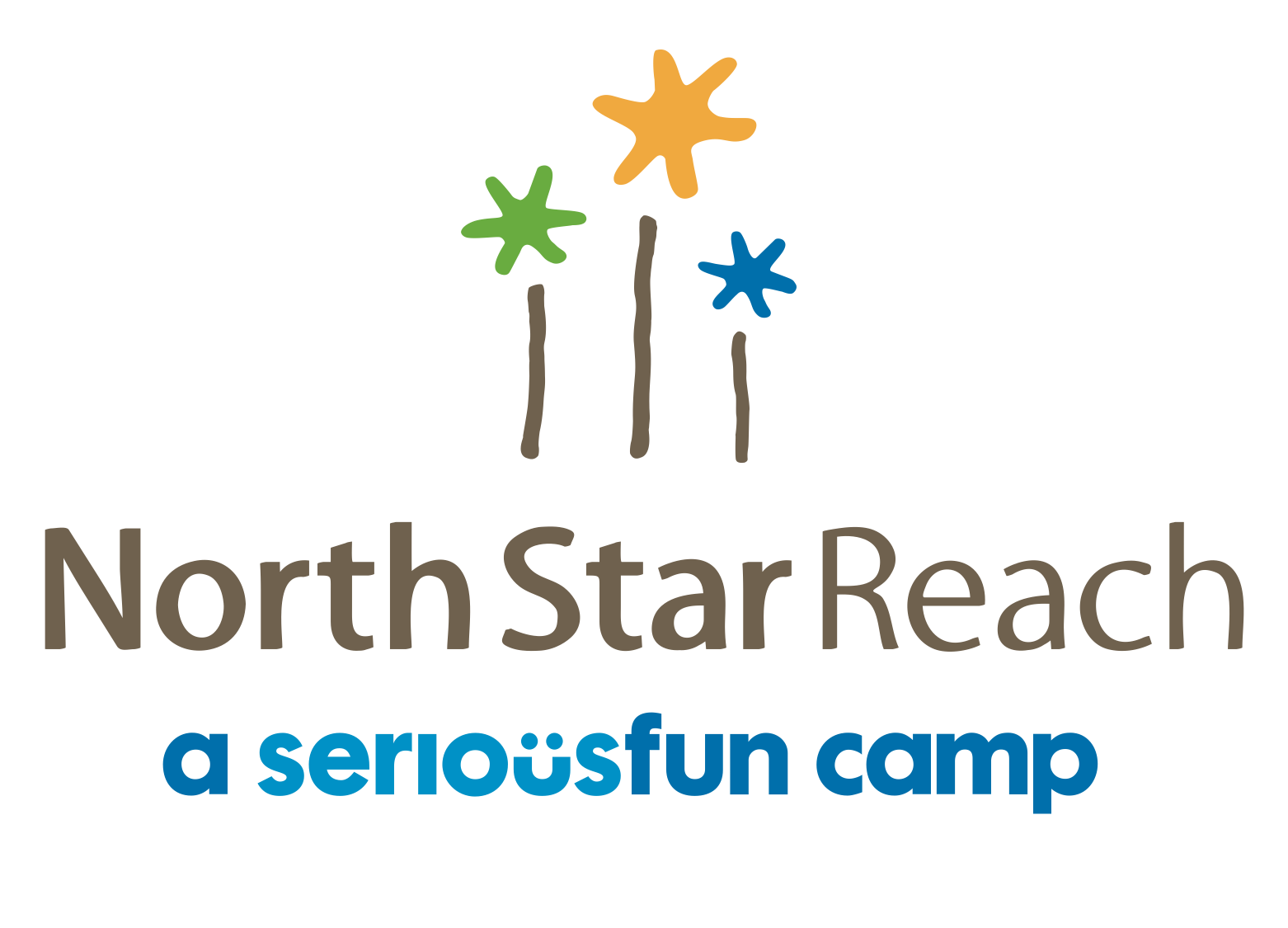 North Star Reach Logo